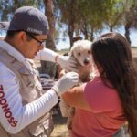 Vacunación gratuita para mascotas, en jornada contra la rabia 